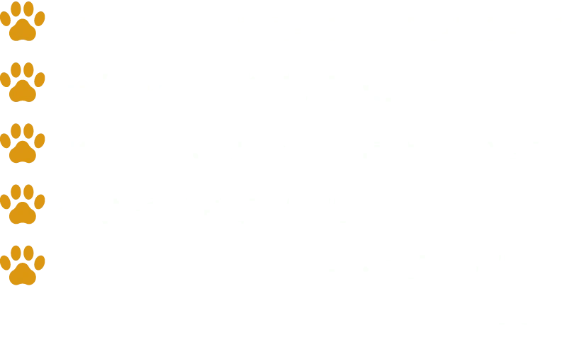 リスト